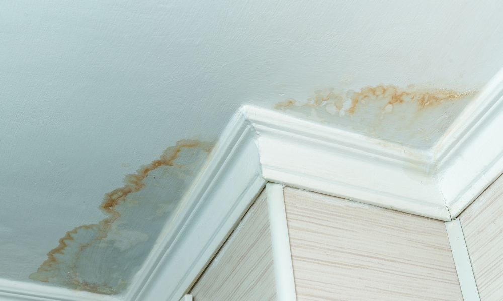 How to Repair Water Damage Drywall? 5 Simple Steps [Updated in 2023]