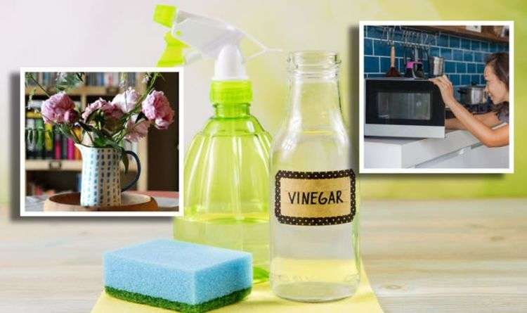 Use Water and Vinegar - VIPLEAGUE1